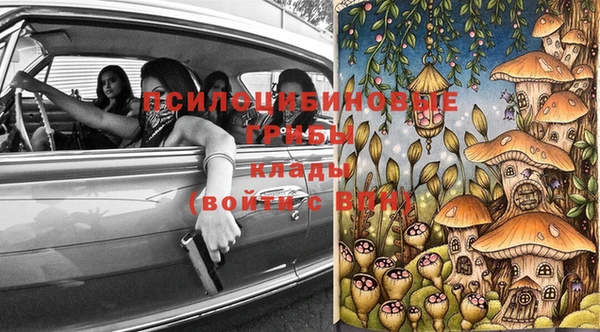 PSILOCYBIN Беломорск