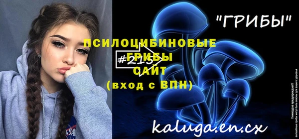 PSILOCYBIN Беломорск