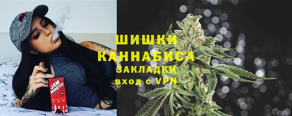 PSILOCYBIN Беломорск