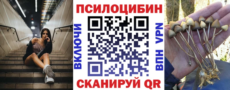 наркота  Мглин  Галлюциногенные грибы Psilocybine cubensis 